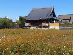 大乗院(埼玉県)