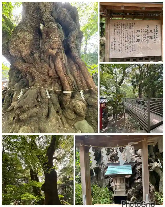 來宮神社の{uncategorized: "未分類", other: "その他", undefined: "問題あり", building: "その他建物", grave: "お墓", sacred_gate: "鳥居", guardian: "狛犬", statue: "像", buddha: "仏像", history: "歴史", nature: "自然", garden: "庭園", animal: "動物", pagoda: "塔", temizu: "手水舎", mountain_gate: "山門・神門", sanctuary: "本殿・本堂", subordinate: "末社・摂社", art: "芸術", scenery: "景色", jizo: "地蔵", ema: "絵馬", goshuin: "御朱印", omikuji: "おみくじ", items: "授与品その他", amulet: "お守り", goshuincho: "御朱印帳", eats: "食事", festival: "お祭り", votive_dance: "神楽", shichigosan: "七五三参", wedding: "結婚式", experience: "体験その他", initially: "初詣", around: "周辺", anti_infection: "感染症対策"}