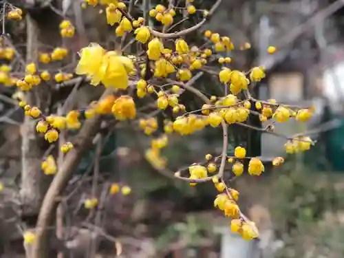 木舟山　順教寺の自然