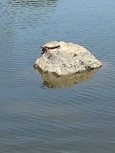 吉備津彦神社(岡山県)