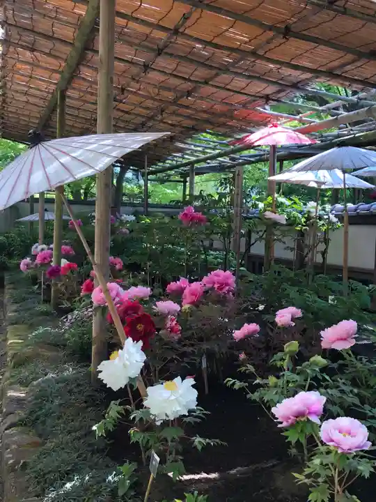 上野東照宮の周辺