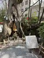 秩父今宮神社(埼玉県)