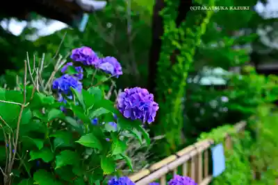 篠原八幡神社(神奈川県)