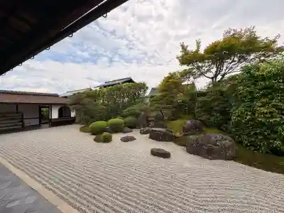 興臨院の{uncategorized: "未分類", other: "その他", undefined: "問題あり", building: "その他建物", grave: "お墓", sacred_gate: "鳥居", guardian: "狛犬", statue: "像", buddha: "仏像", history: "歴史", nature: "自然", garden: "庭園", animal: "動物", pagoda: "塔", temizu: "手水舎", mountain_gate: "山門・神門", sanctuary: "本殿・本堂", subordinate: "末社・摂社", art: "芸術", scenery: "景色", jizo: "地蔵", ema: "絵馬", goshuin: "御朱印", omikuji: "おみくじ", items: "授与品その他", amulet: "お守り", goshuincho: "御朱印帳", eats: "食事", festival: "お祭り", votive_dance: "神楽", shichigosan: "七五三参", wedding: "結婚式", experience: "体験その他", initially: "初詣", around: "周辺", anti_infection: "感染症対策"}