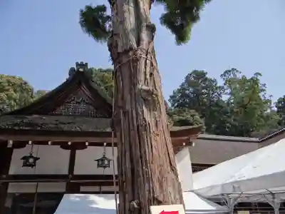 大神神社(奈良県)