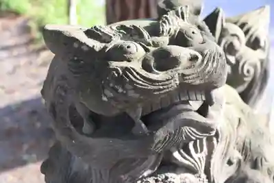 妙見神社の狛犬