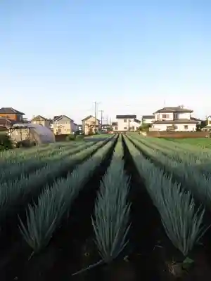 尾崎天神宮(千葉県)