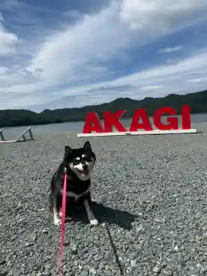 赤城神社の{uncategorized: "未分類", other: "その他", undefined: "問題あり", building: "その他建物", grave: "お墓", sacred_gate: "鳥居", guardian: "狛犬", statue: "像", buddha: "仏像", history: "歴史", nature: "自然", garden: "庭園", animal: "動物", pagoda: "塔", temizu: "手水舎", mountain_gate: "山門・神門", sanctuary: "本殿・本堂", subordinate: "末社・摂社", art: "芸術", scenery: "景色", jizo: "地蔵", ema: "絵馬", goshuin: "御朱印", omikuji: "おみくじ", items: "授与品その他", amulet: "お守り", goshuincho: "御朱印帳", eats: "食事", festival: "お祭り", votive_dance: "神楽", shichigosan: "七五三参", wedding: "結婚式", experience: "体験その他", initially: "初詣", around: "周辺", anti_infection: "感染症対策"}