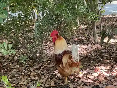 熱田神宮(愛知県)