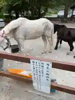 丹生川上神社(下社)(奈良県)