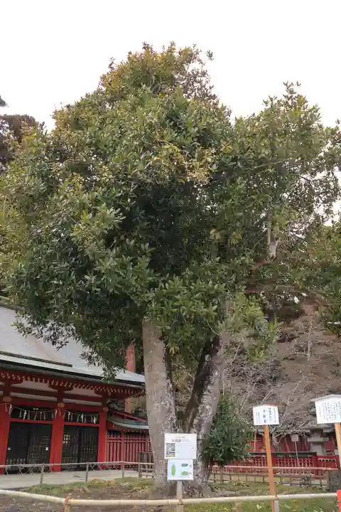 志波彦神社・鹽竈神社(宮城県)