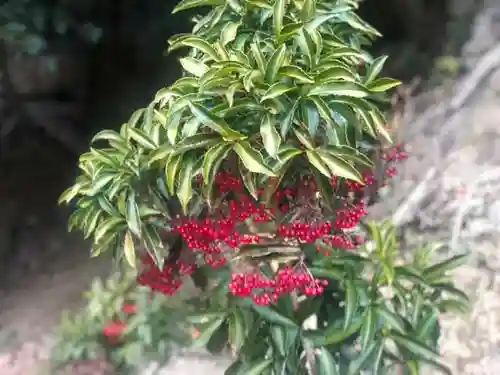 木舟山　順教寺の自然