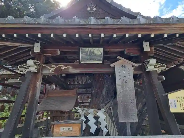 松尾大社(京都府)