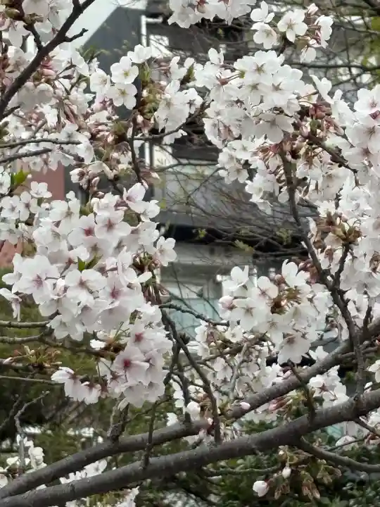 霊巌寺(東京都)