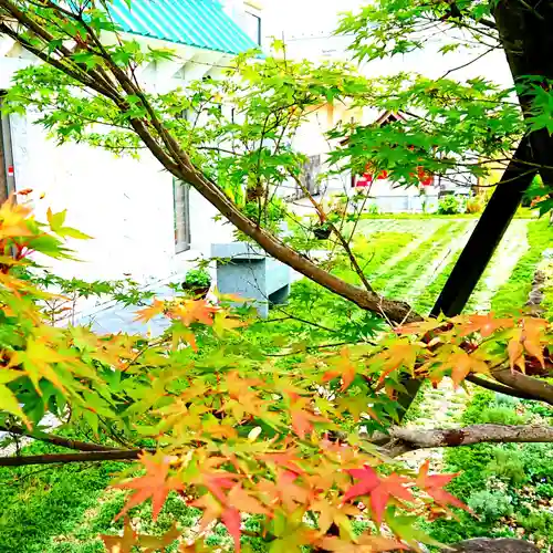 寿量山　速成寺の自然
