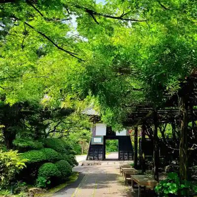 龍潭寺(静岡県)