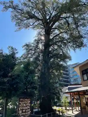 瀬戸神社(神奈川県)