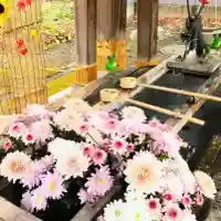 彌彦神社 (伊夜日子神社)の手水舎