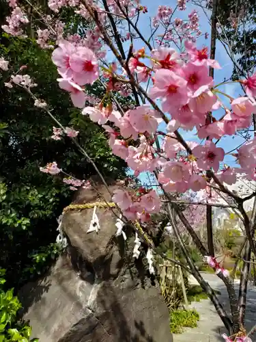平野八幡神社の自然