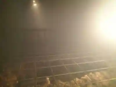 走湯神社(静岡県)