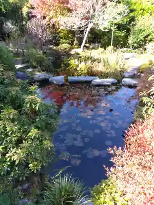 実光院(京都府)