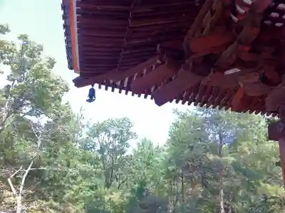 仁和寺のその他建物