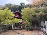 金泉寺の{uncategorized: "未分類", other: "その他", undefined: "問題あり", building: "その他建物", grave: "お墓", sacred_gate: "鳥居", guardian: "狛犬", statue: "像", buddha: "仏像", history: "歴史", nature: "自然", garden: "庭園", animal: "動物", pagoda: "塔", temizu: "手水舎", mountain_gate: "山門・神門", sanctuary: "本殿・本堂", subordinate: "末社・摂社", art: "芸術", scenery: "景色", jizo: "地蔵", ema: "絵馬", goshuin: "御朱印", omikuji: "おみくじ", items: "授与品その他", amulet: "お守り", goshuincho: "御朱印帳", eats: "食事", festival: "お祭り", votive_dance: "神楽", shichigosan: "七五三参", wedding: "結婚式", experience: "体験その他", initially: "初詣", around: "周辺", anti_infection: "感染症対策"}