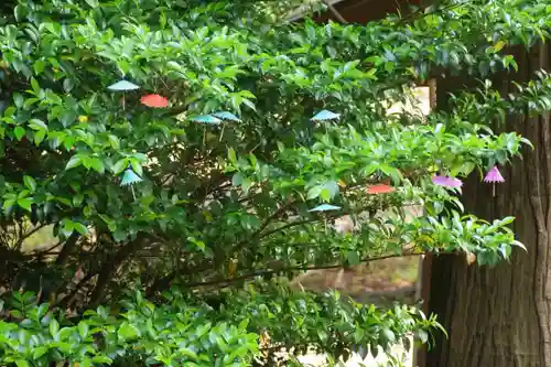 高司神社〜むすびの神の鎮まる社〜のおみくじ