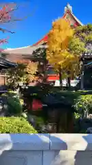 浅草寺(東京都)