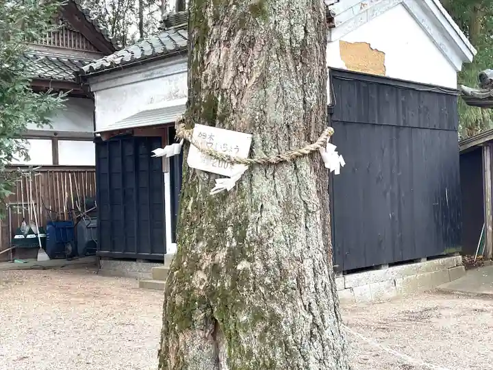 植木神社(三重県)