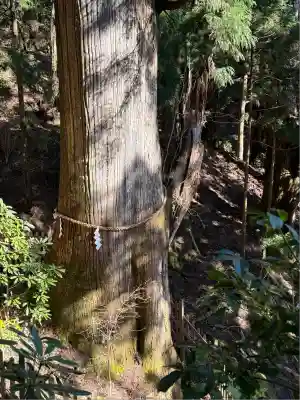 玉置神社(奈良県)