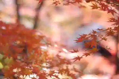 禅林寺(永観堂)(京都府)