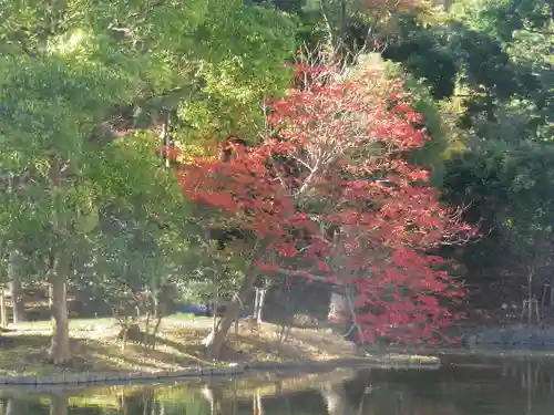 鶴岡八幡宮の庭園