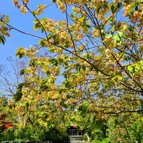 二川伏見稲荷(愛知県)
