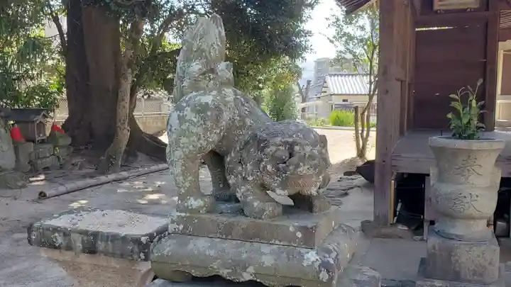 松尾神社の狛犬