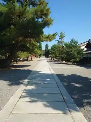妙心寺（妙心禅寺）(京都府)