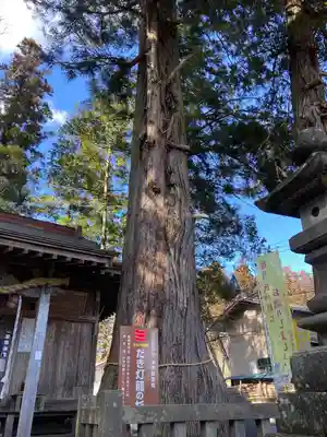 鹿島神社(茨城県)
