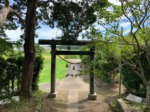 白幡神社の鳥居