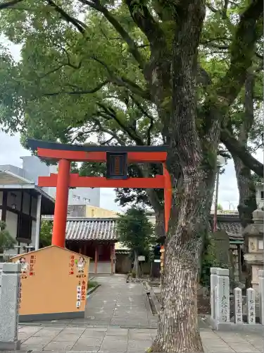 射楯兵主神社(兵庫県)