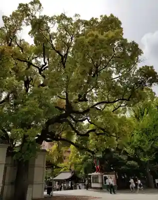 富岡八幡宮のその他建物