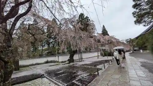 醍醐寺(京都府)
