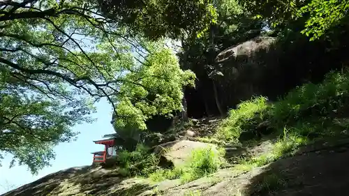 神倉神社（熊野速玉大社摂社）の自然
