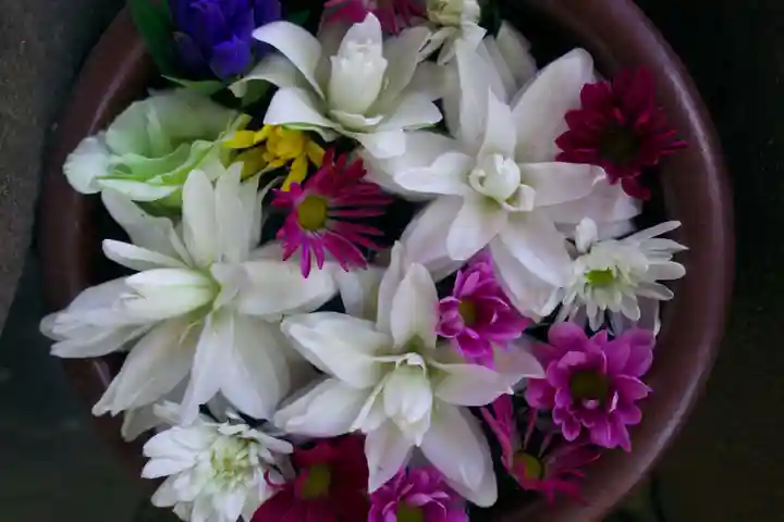 菅生神社の手水舎