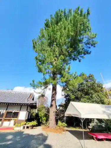 忌部神社の庭園
