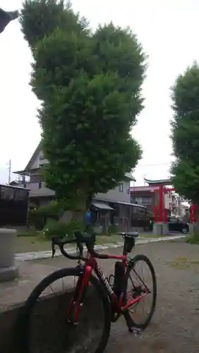 本行徳八幡神社(千葉県)
