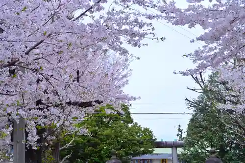 池袋氷川神社(東京都)