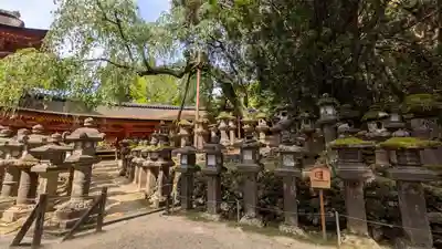 春日大社(奈良県)