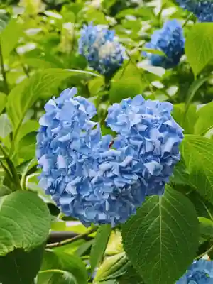 長谷寺(奈良県)