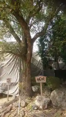 白山神社のその他建物