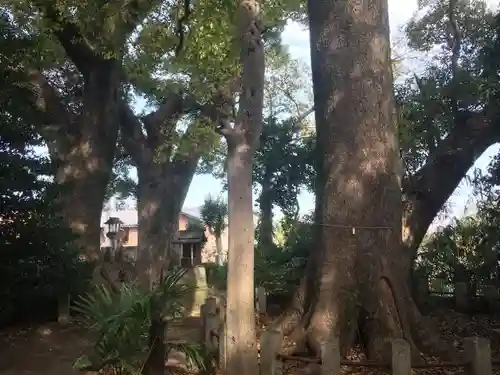 伊久智神社の自然